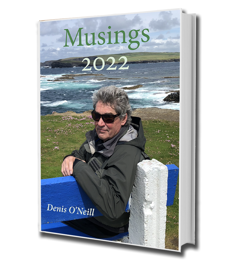 Book Cover | Musings 2022
