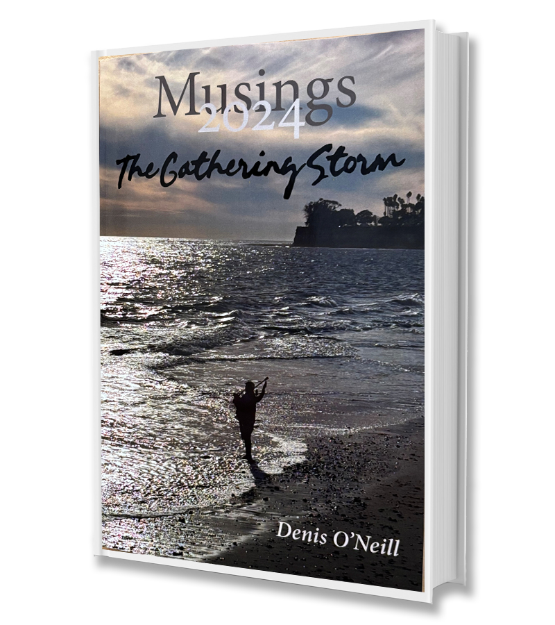 Book Cover | Musings 2024