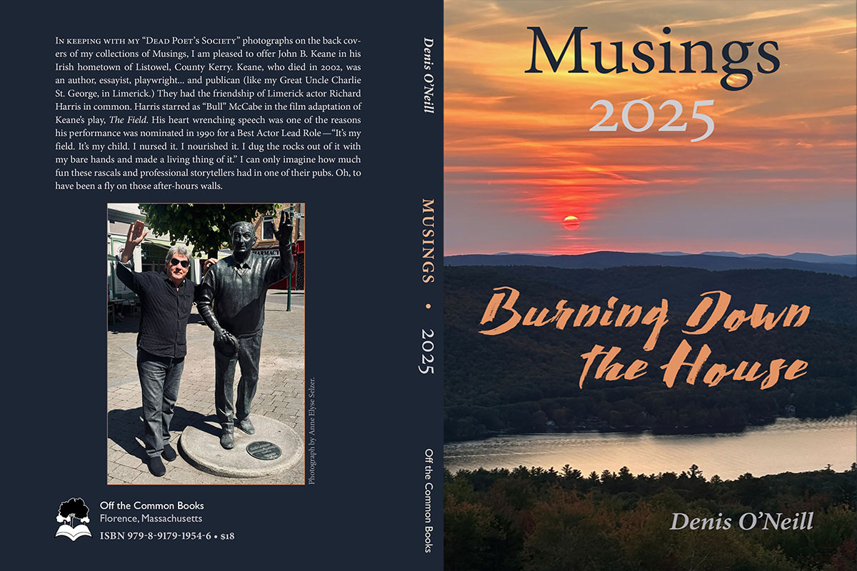 Portfolio Item: Musings 2025 - Book Covers